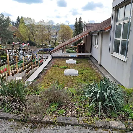 Apartmán - Loft - Mit 123qm Bei Wuerzburg Mit Eigenen Gratis Parkplatz Terasse Grill Wlan - Nur Einzelbetten